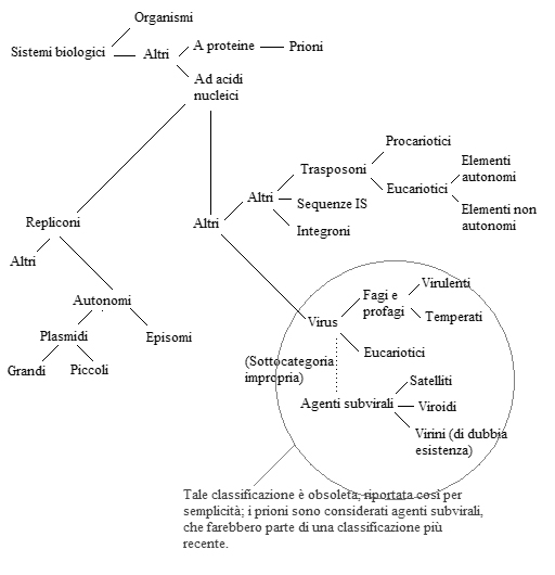 Considerazioni sul concetto di sottospecie